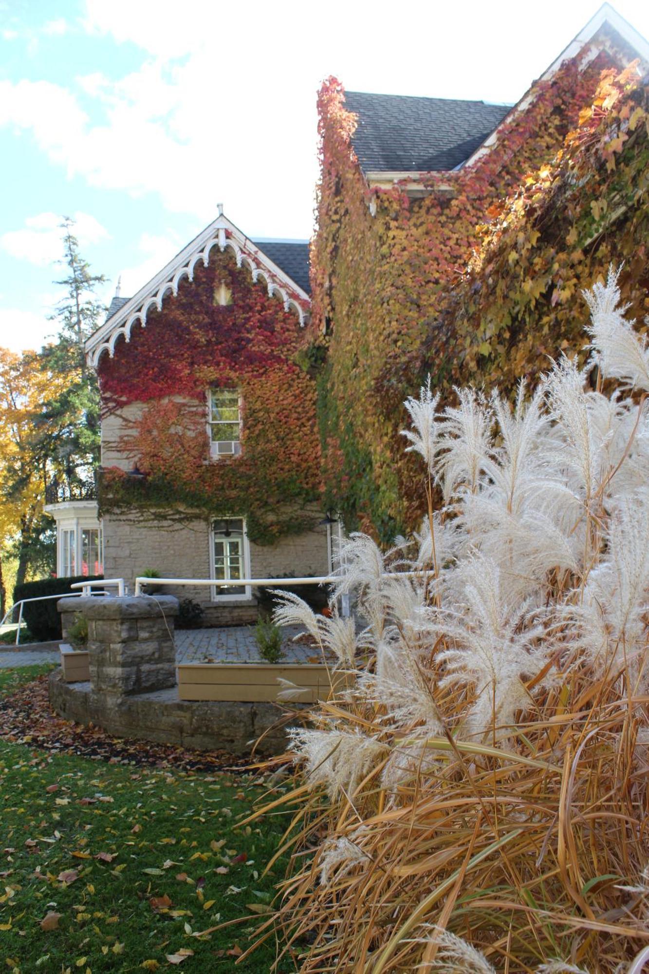 Saint Marys Westover Inn מראה חיצוני תמונה